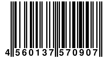 4 560137 570907