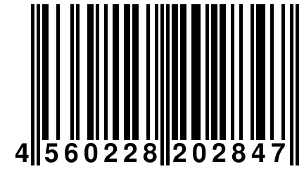 4 560228 202847