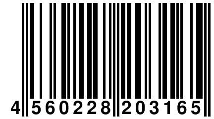 4 560228 203165