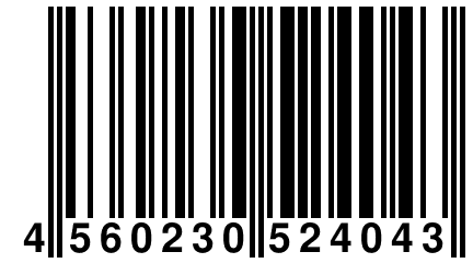 4 560230 524043