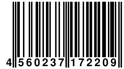 4 560237 172209