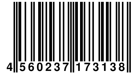 4 560237 173138