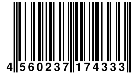 4 560237 174333