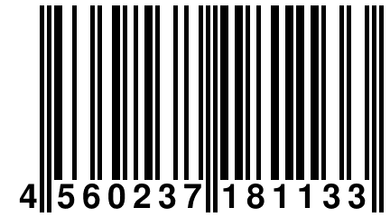 4 560237 181133