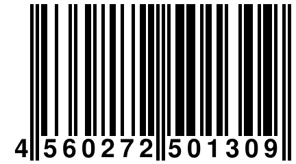 4 560272 501309