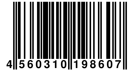 4 560310 198607