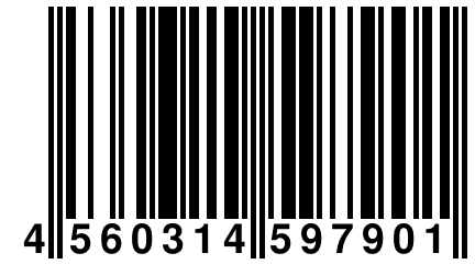 4 560314 597901