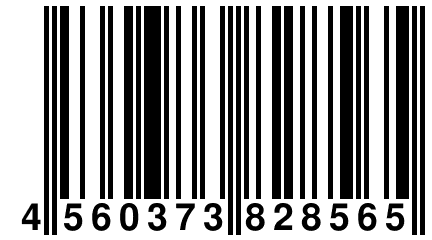 4 560373 828565