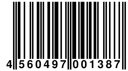 4 560497 001387