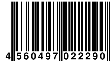 4 560497 022290