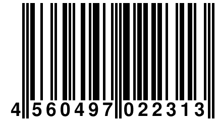 4 560497 022313