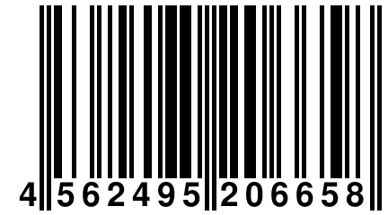 4 562495 206658