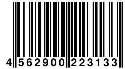 4 562900 223133