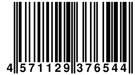 4 571129 376544