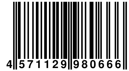 4 571129 980666