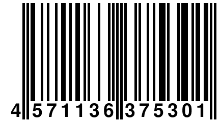 4 571136 375301