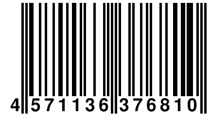 4 571136 376810