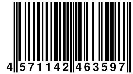 4 571142 463597