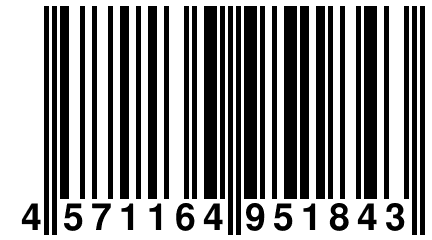 4 571164 951843