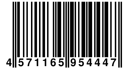 4 571165 954447