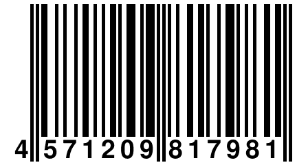 4 571209 817981