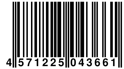 4 571225 043661