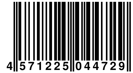 4 571225 044729