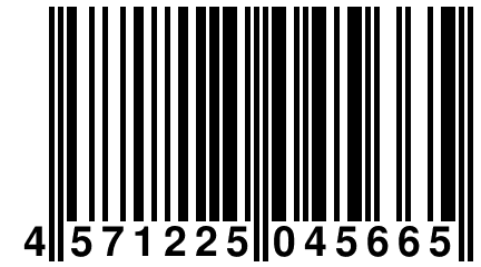 4 571225 045665