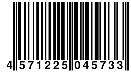 4 571225 045733