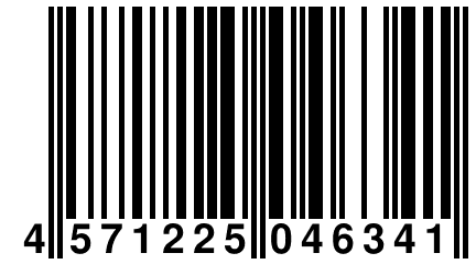 4 571225 046341