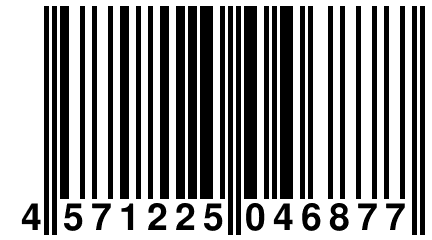 4 571225 046877