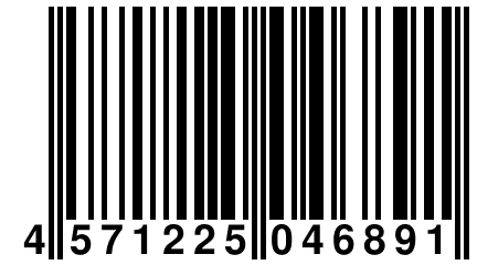 4 571225 046891