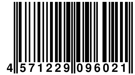 4 571229 096021