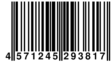 4 571245 293817