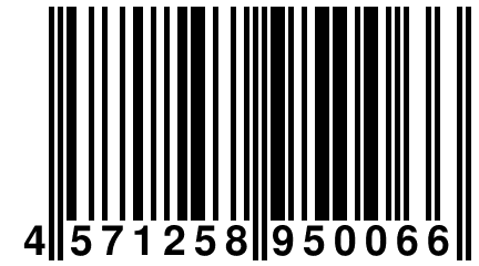 4 571258 950066