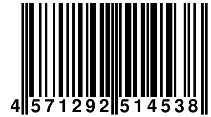 4 571292 514538