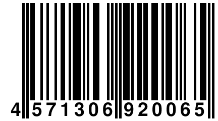 4 571306 920065