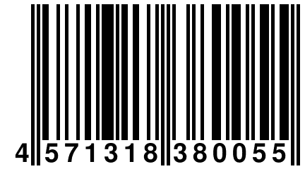 4 571318 380055