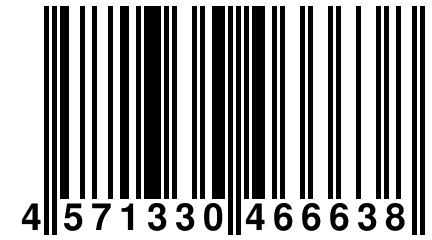 4 571330 466638