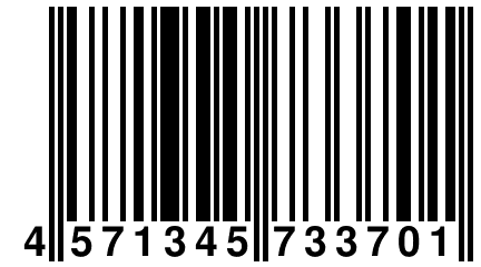 4 571345 733701