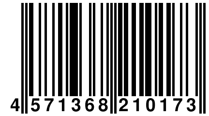 4 571368 210173