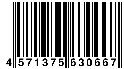 4 571375 630667