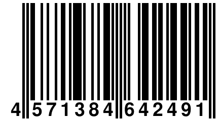 4 571384 642491