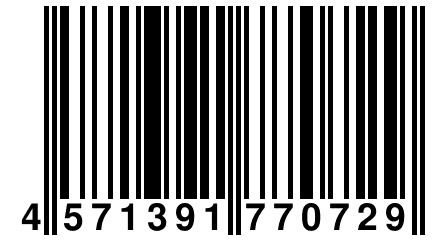 4 571391 770729