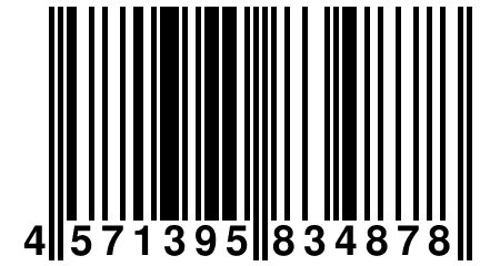 4 571395 834878