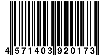 4 571403 920173