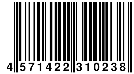 4 571422 310238