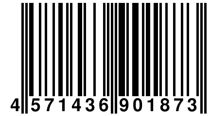 4 571436 901873