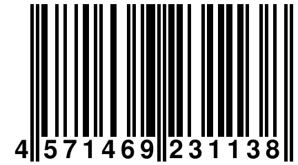 4 571469 231138