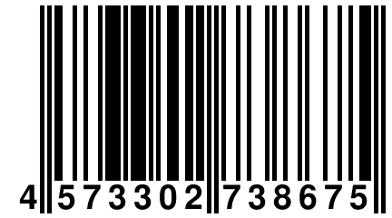 4 573302 738675